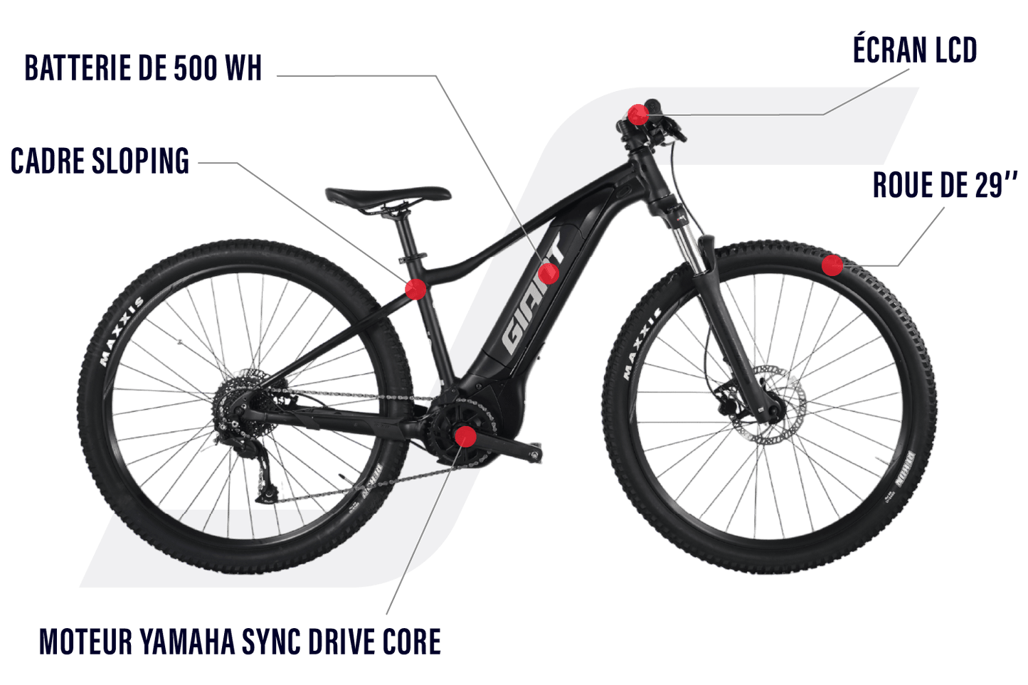 Giant Talon E+ 2 | 2023 - S - 1423KM - Loop Sports