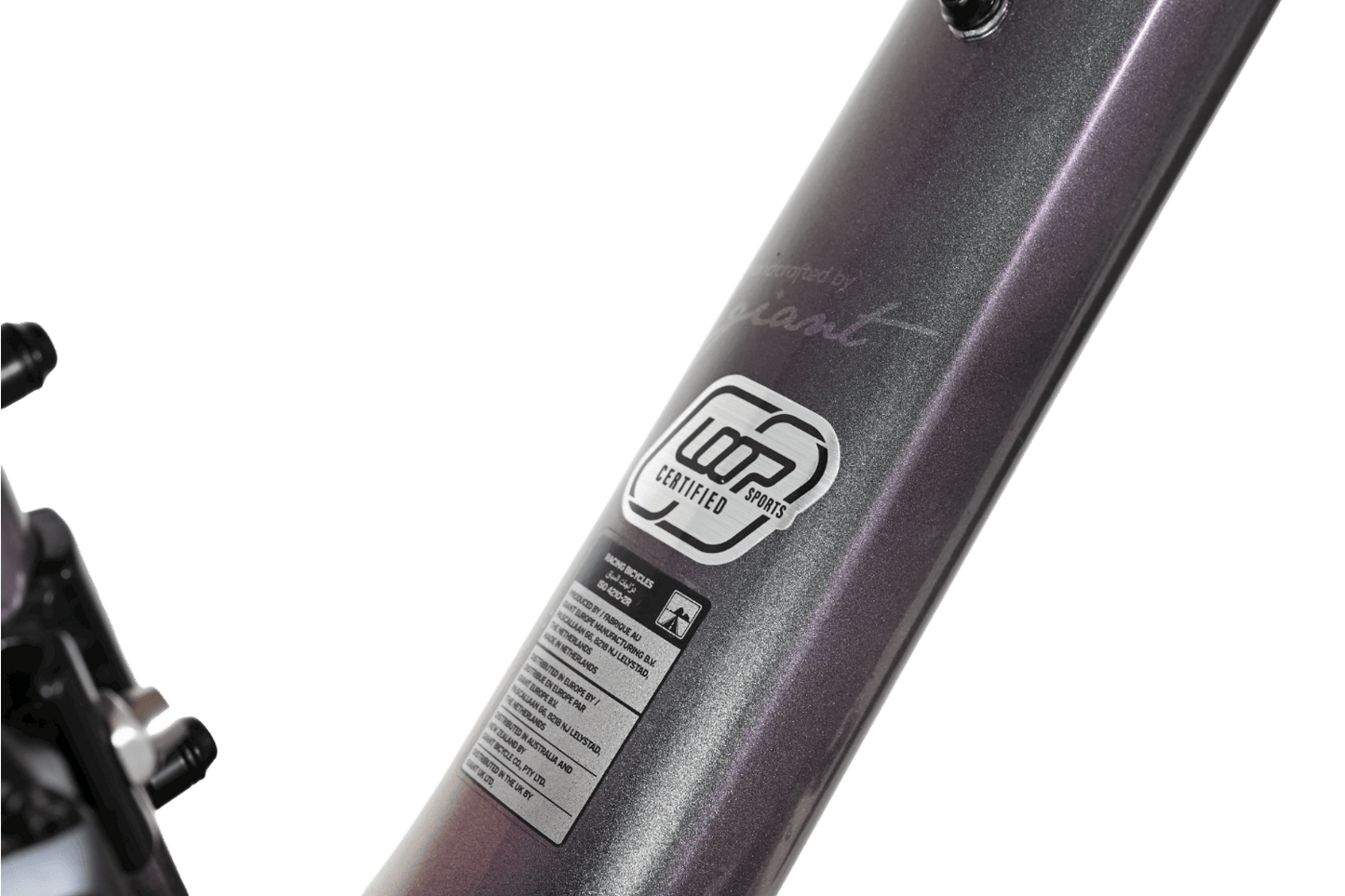 Liv Avail Advanced 1 | 2021 - S - Loop Sports
