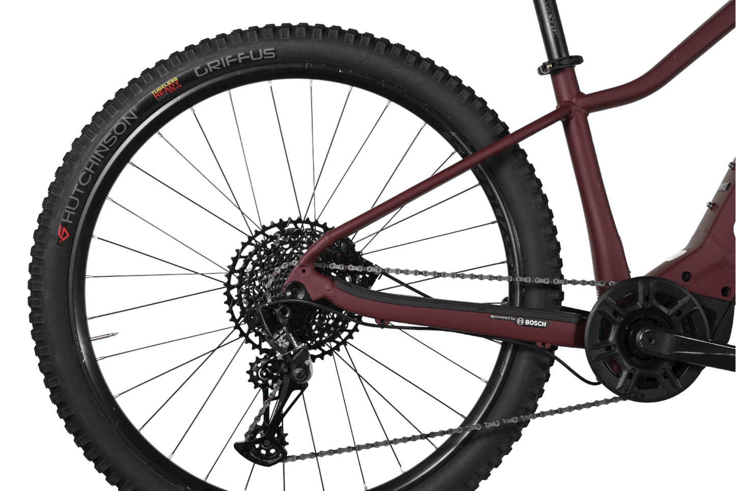 Scott Contessa Active Eride 920 | 2021 - S - 584KM - Loop Sports