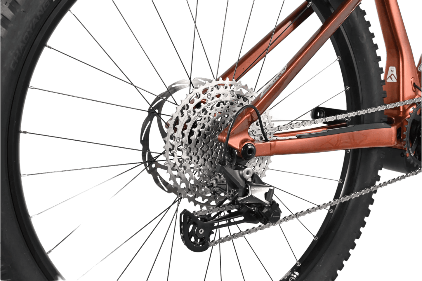 Sunn Rage | 2023 - M - 272KM - Loop Sports