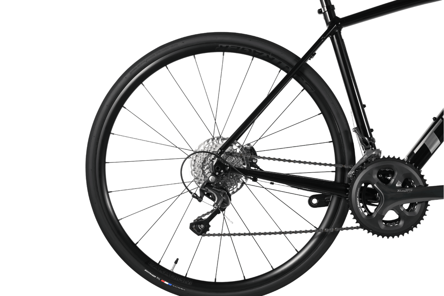 Trek Domane AL 5 Disc | 2022 - S - Loop Sports