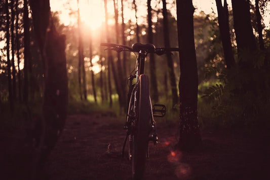 GRAVEL, ENDURO, CROSSCOUNTRY, QUELLE TENDANCE VELO ESSAYER ? - Loop Sports
