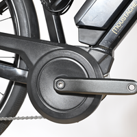 Moustache Samedi 28.1 | 2023 - M - 17913KM