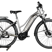 Giant Liv Amiti E+3 | 2022 - M - 9575KM