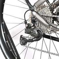 Giant Liv Amiti E+3 | 2022 - M - 9575KM