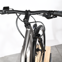 Giant Liv Amiti E+3 | 2022 - M - 9575KM