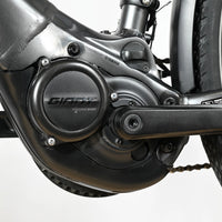 Giant Liv Amiti-E+ 1 | 2022 - XS - 2231KM