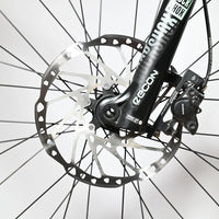 Orbea Wild Ht | 2020 - L - 1997KM