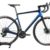 Rose Reveal Four | 2021 - 55CM