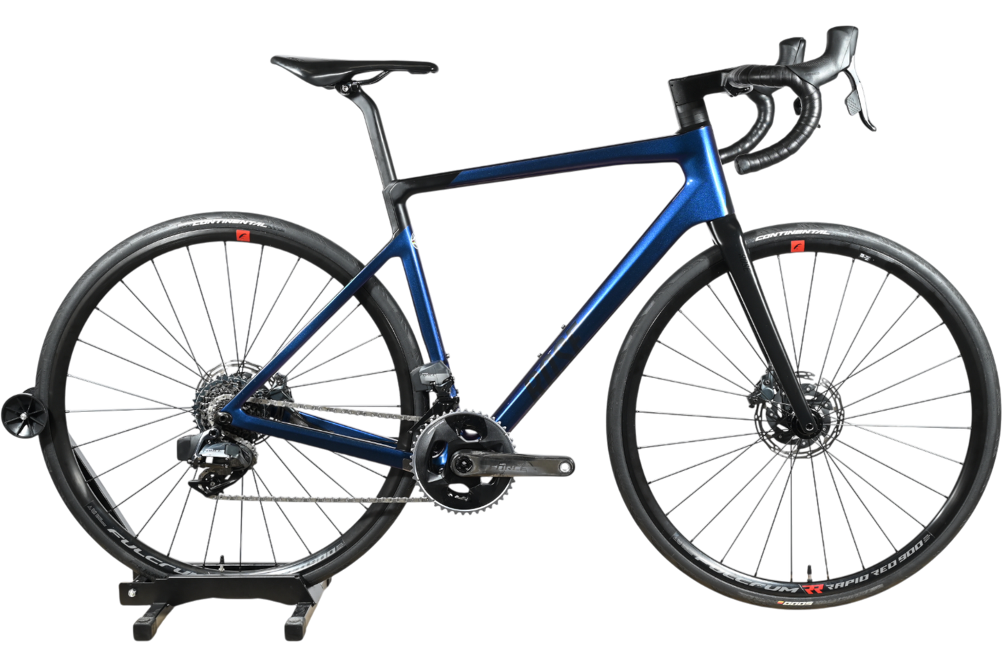 Rose Reveal Four | 2021 - 55CM