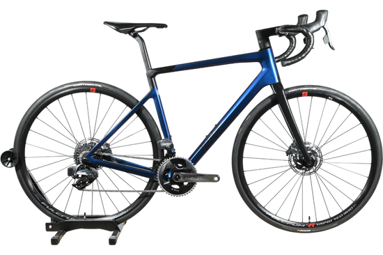 Rose Reveal Four | 2021 - 55CM