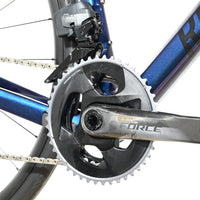 Rose Reveal Four | 2021 - 55CM