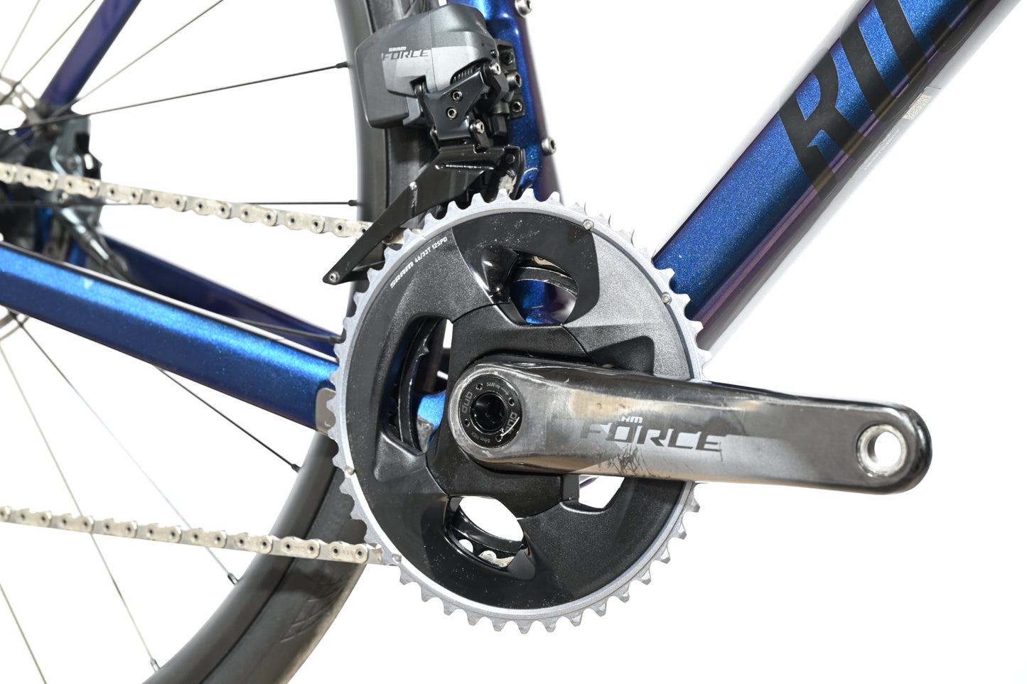 Rose Reveal Four | 2021 - 55CM
