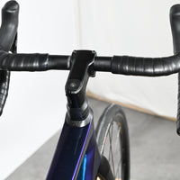 Rose Reveal Four | 2021 - 55CM