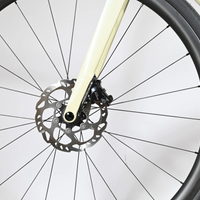 Sunn Asphalt S1 | 2025 - M
