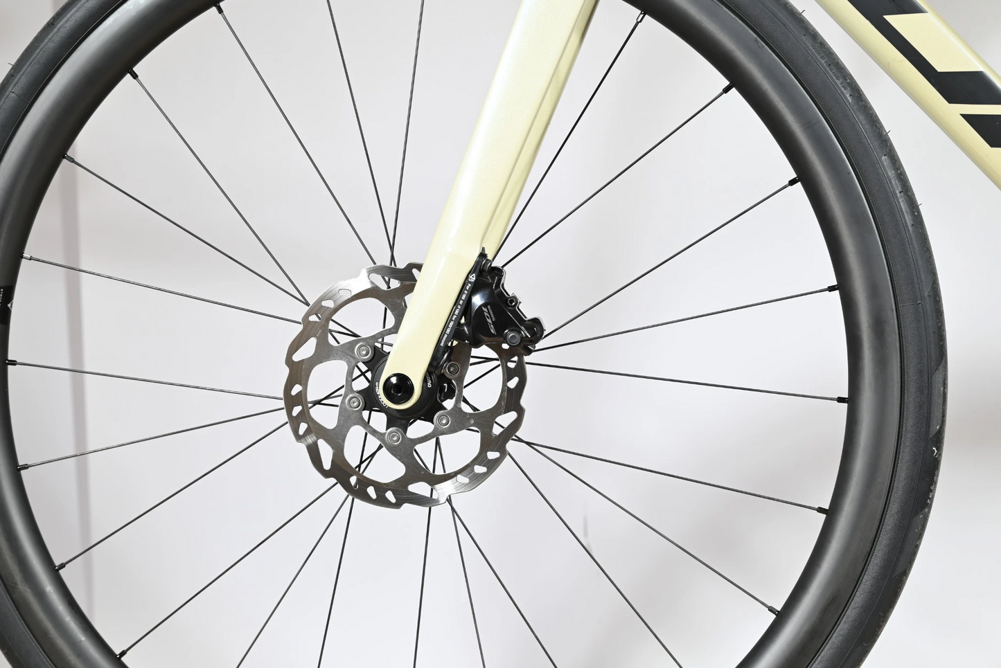 Sunn Asphalt S1 | 2025 - M