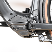 Rose Backroad Plus EQ | 2024 - M - 289KM