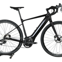 Giant Revolt E+ | 2025 - M - 1497KM