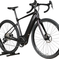 Giant Revolt E+ | 2025 - M - 1497KM