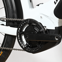 Winora Yucatan 12 | 2022 - S - 385KM