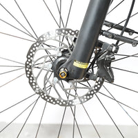 Kalkhoff Entice 5.B Move | 2022 - L - 5020KM