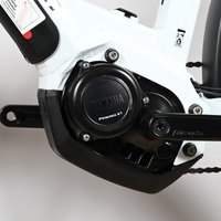 Winora Yucatan 12 | 2022 - S - 385KM