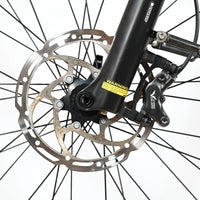 Pegasus Premio Evo 11 | 2023 - S - 2635KM