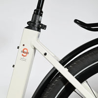 Winora Sinus 9 | 2023 - M - 1008KM