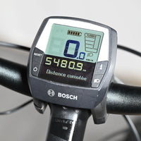 Victoria Trekking 12.8 | 2022 - M - 5481KM