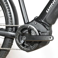 Winora Yucatan 12 Pro | 2023 - L - 646KM