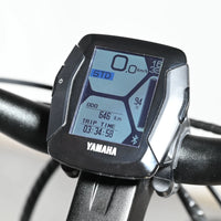 Winora Yucatan 12 Pro | 2023 - L - 646KM