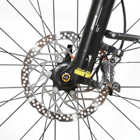 Winora Yucatan 12 Pro | 2023 - L - 646KM