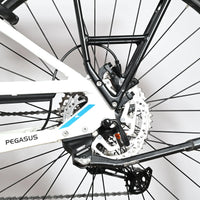 Pegasus Premio Evo 11 Lite | 2023 - M - 3292KM
