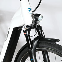 Pegasus Premio Evo 11 Lite | 2023 - M - 3292KM