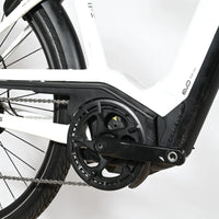 Pegasus Premio Evo 11 Lite | 2023 - M - 3292KM