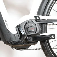 Pegasus Premio Evo 11 Lite | 2023 - M - 3292KM