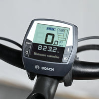 Pegasus Premio Evo 10 Lite | 2023 - M - 823KM