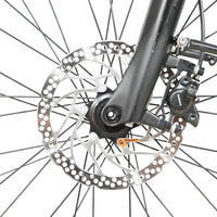 Pegasus Premio Evo 10 Lite | 2023 - M - 823KM