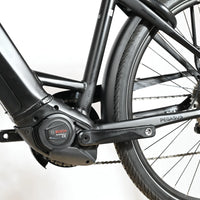 Pegasus Premio Evo 10 Lite | 2023 - M - 767KM