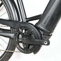 Pegasus Premio Evo 10 Lite | 2023 - M - 767KM