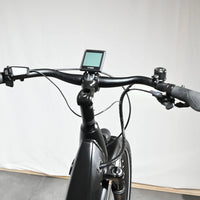Pegasus Premio Evo 10 Lite | 2023 - M - 767KM