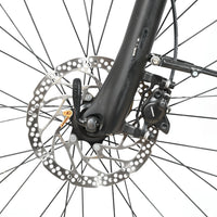 Pegasus Premio Evo 10 Lite | 2023 - M - 767KM