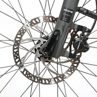 Winora Sinus N5 Eco | 2022 - S - 878KM