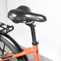 Kalkhoff Entice 1.B Move | 2022 - S - 24707KM