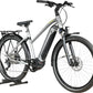 Winora Sinus iX10 | 2023 - S - 367KM