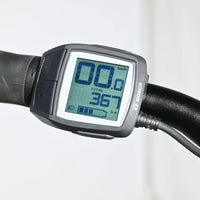 Winora Sinus iX10 | 2023 - S - 367KM