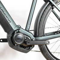 Winora Yucatan 10 | 2022 - M - 449KM