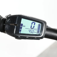 Winora Yucatan 10 | 2022 - M - 449KM