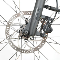 Winora Yucatan 10 | 2022 - M - 449KM