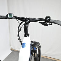 Bergamont E-Horizon Edition LTD | 2022 - M - 5445KM